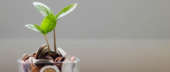 image of plant growing in coins